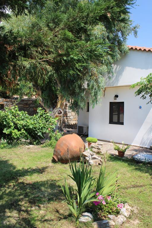Ikaria Utopia - Cusco *