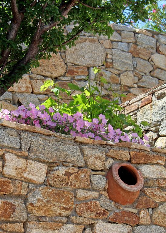 Ikaria Utopia - Cusco
